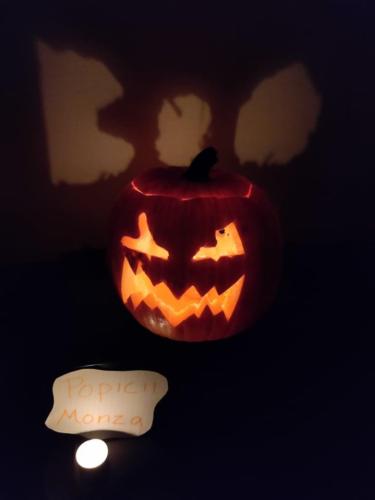 "Carved Pumpkin" by Popicii (Monza)