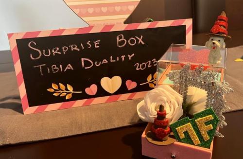 surprise box by Esme Crawford (Firmera)